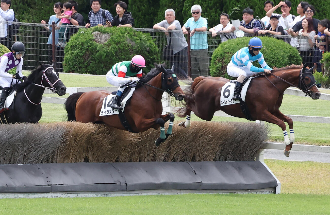 東京1R、障害3歳上未勝利戦を制したライラスターと上野翔騎手（中央）（撮影・丹羽敏通）