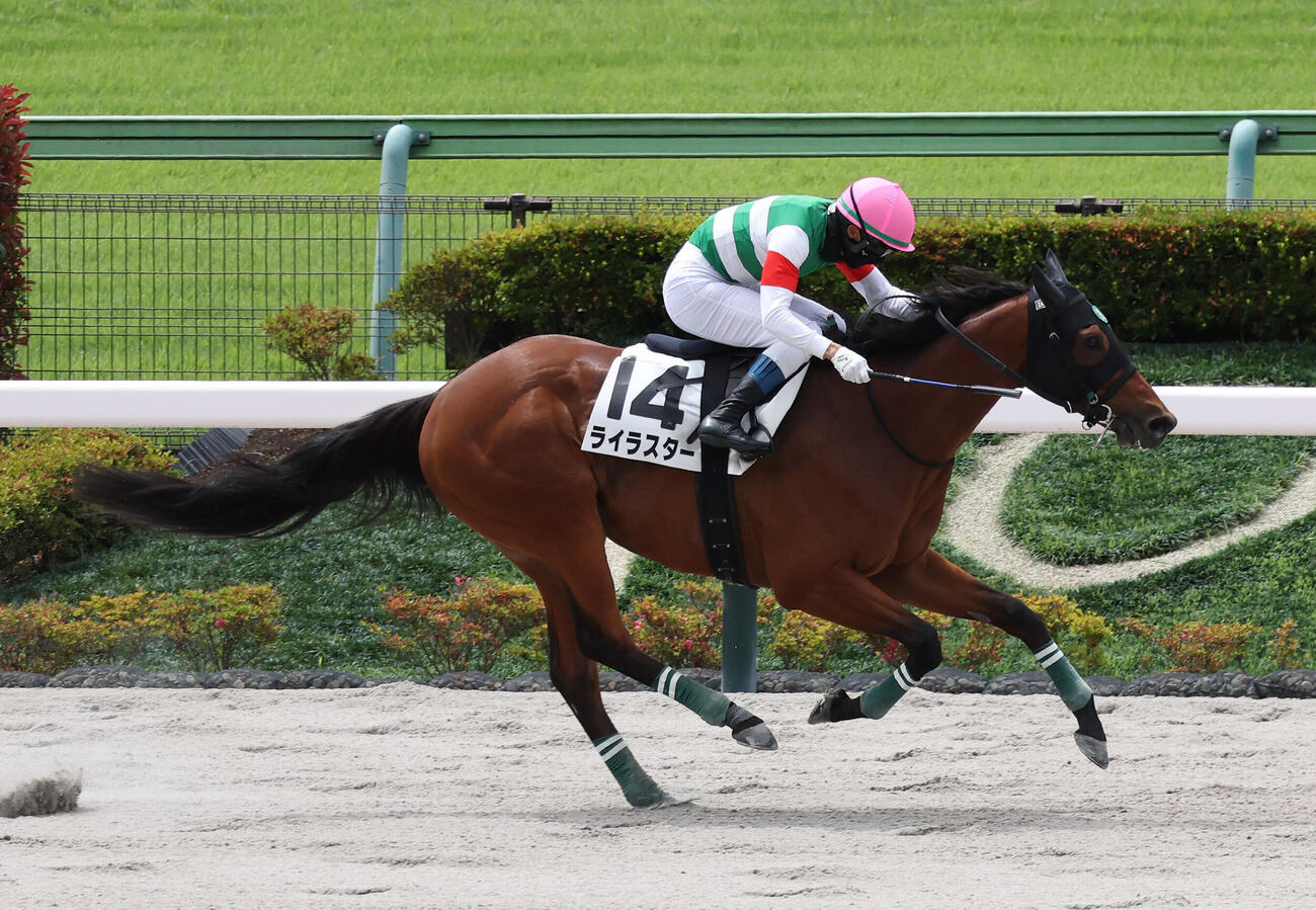 東京1R、障害3歳上未勝利戦を制したライラスターと上野翔騎手（撮影・丹羽敏通）