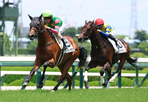 西の一番星はジーティーサクラ！ 上がり32秒4は阪神新馬戦最速「非常