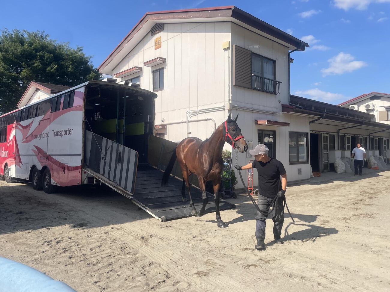東京競馬場に到着したドラゴンブースト