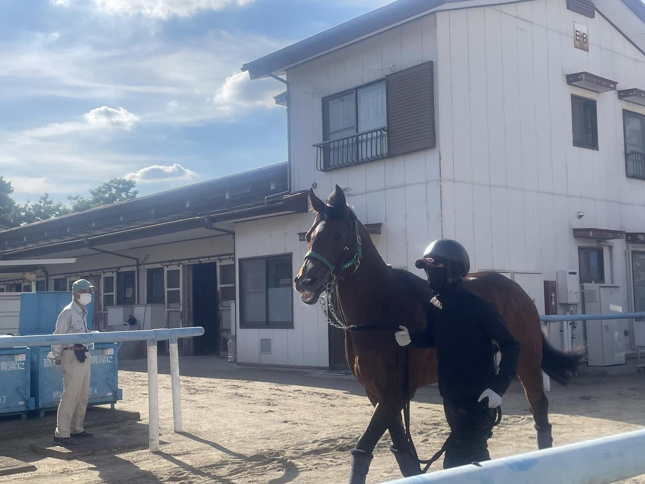 東京競馬場に到着したパンジャタワー
