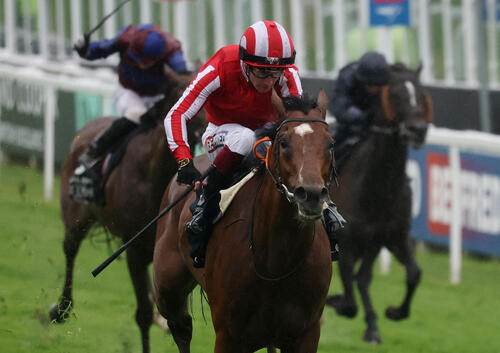 G1・5連勝中の世界最強馬カランダガンが敗れる！雨のコロネーション