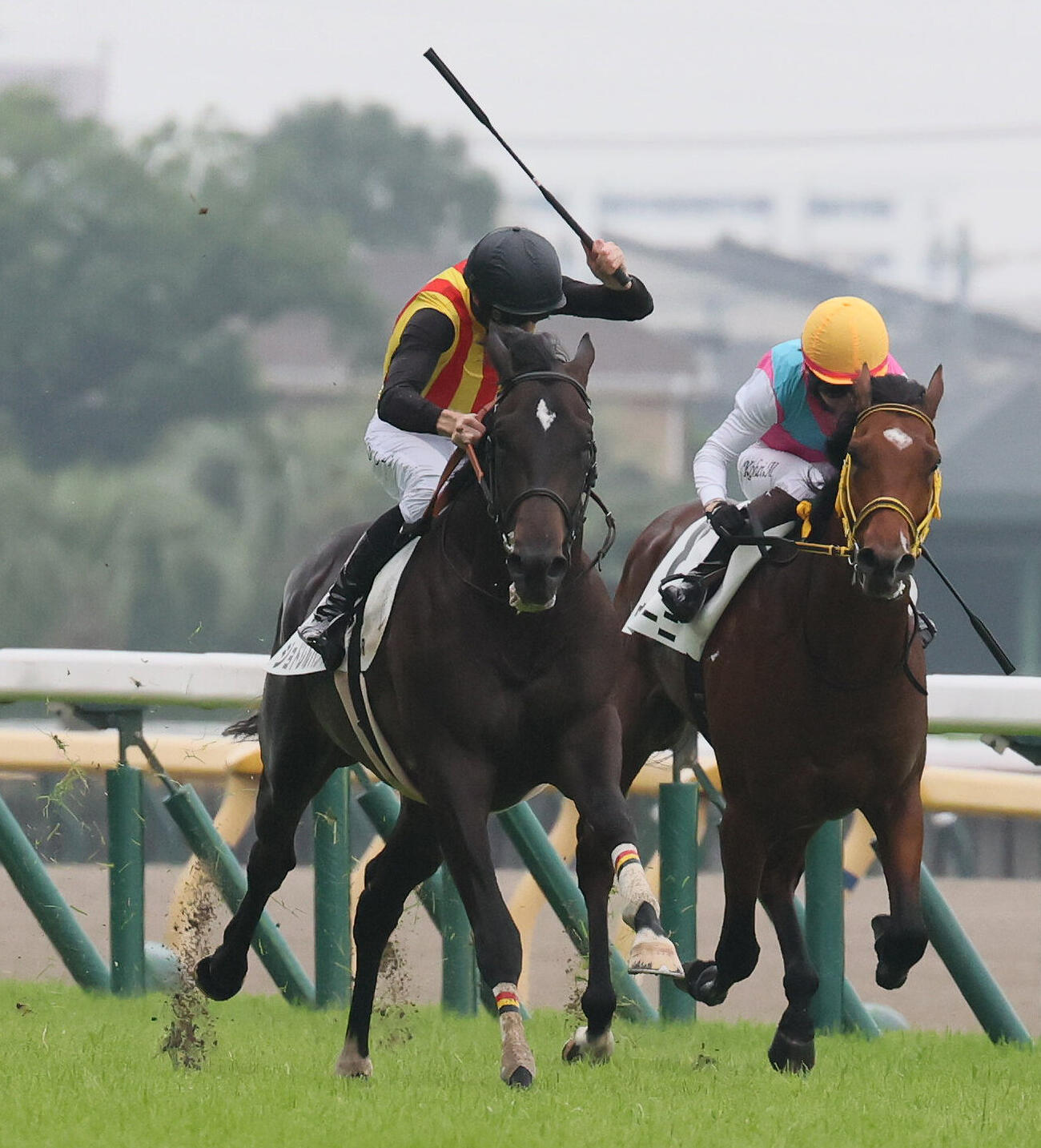 東京5R、2歳新馬戦を制したジョドレルバンクとダミアン・レーン騎手（左）（撮影・丹羽敏通）