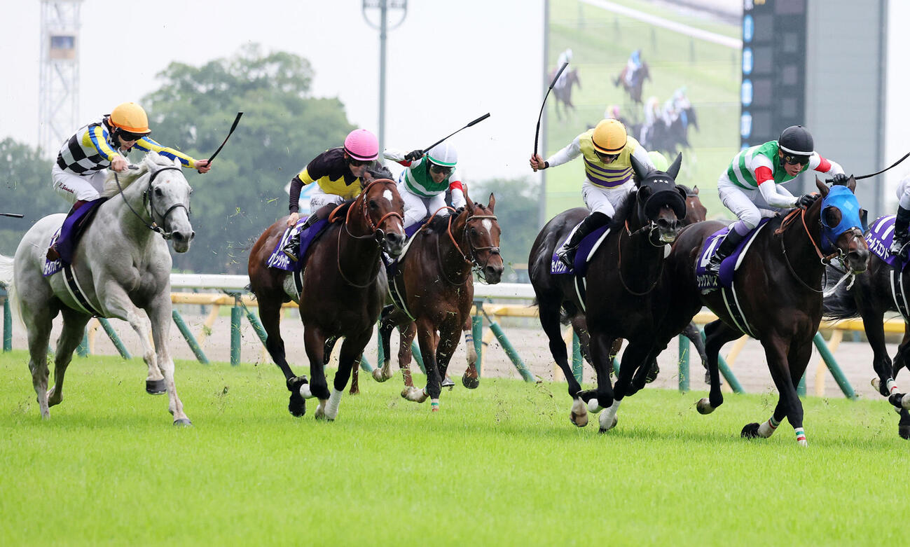 安田記念2着に敗れたガイアフォース（左）。右は勝ったシックスペンス（撮影・鈴木正人）