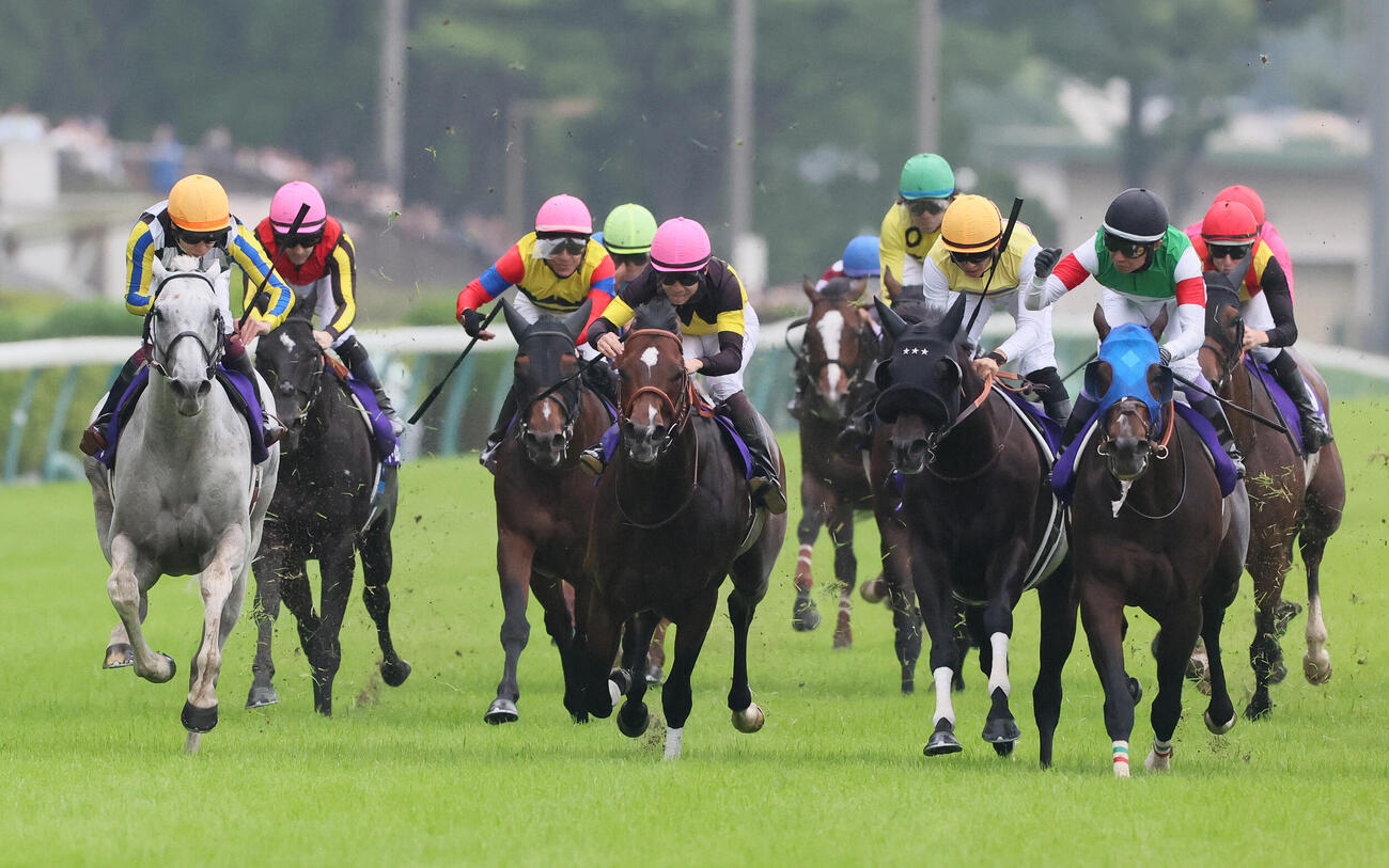 シックスペンスが制した安田記念（撮影・丹羽敏通）