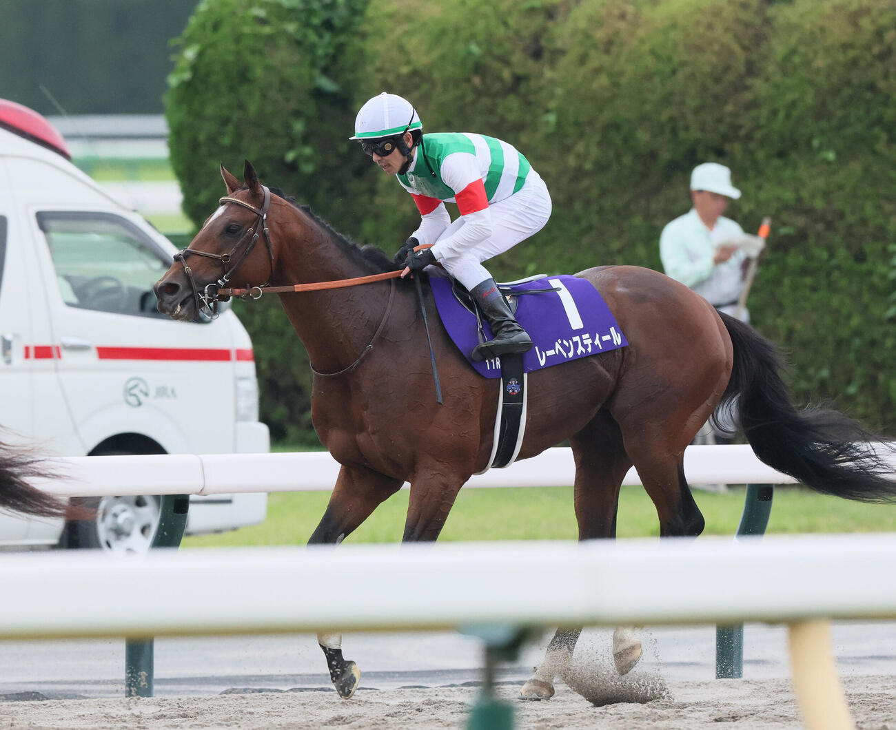 安田記念7着のレーベンスティール（2026年6月撮影）