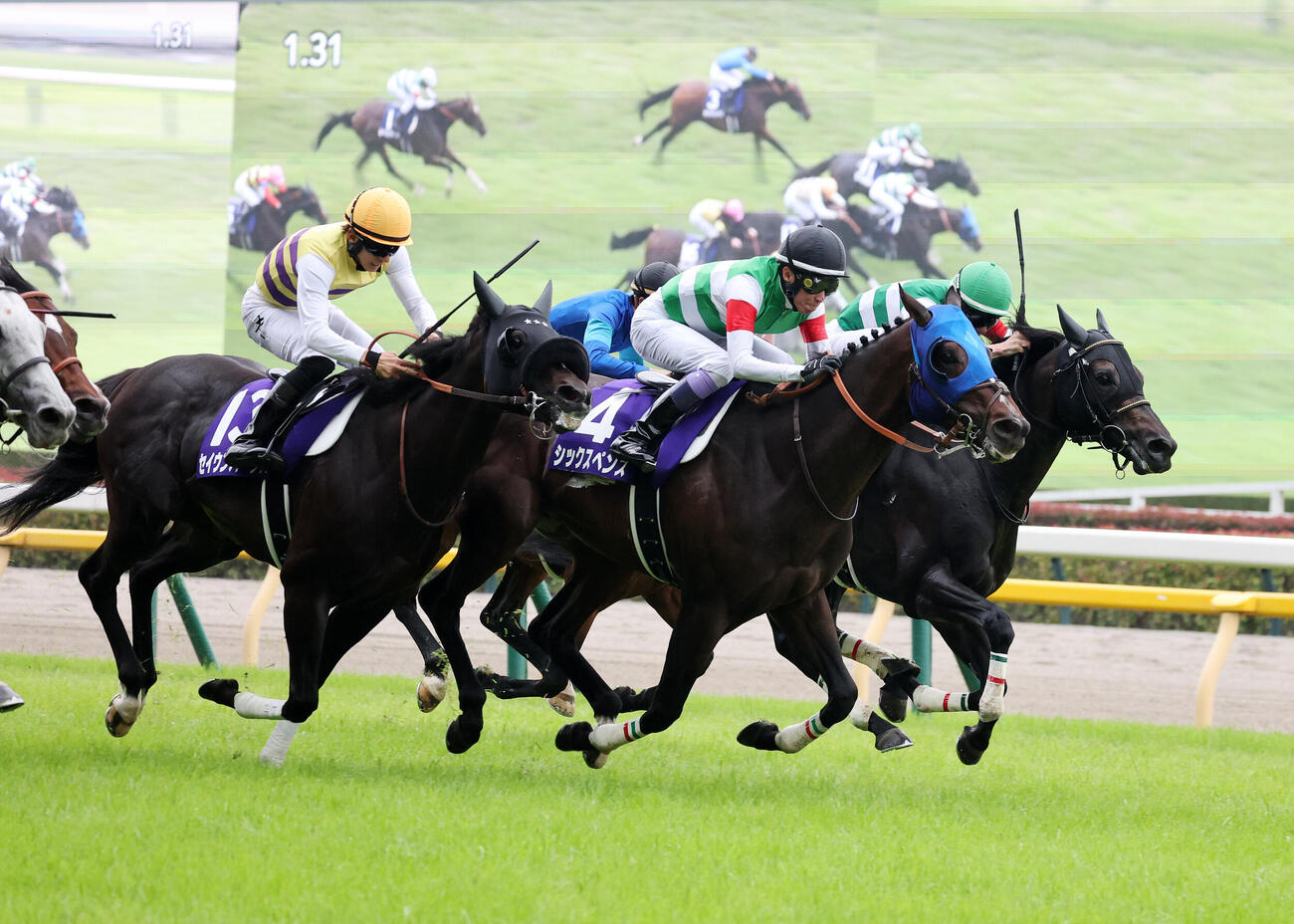 東京11R　安田記念を制したシックスペンス（中央）と武豊騎手（撮影・鈴木正人）＝2026年6月7日