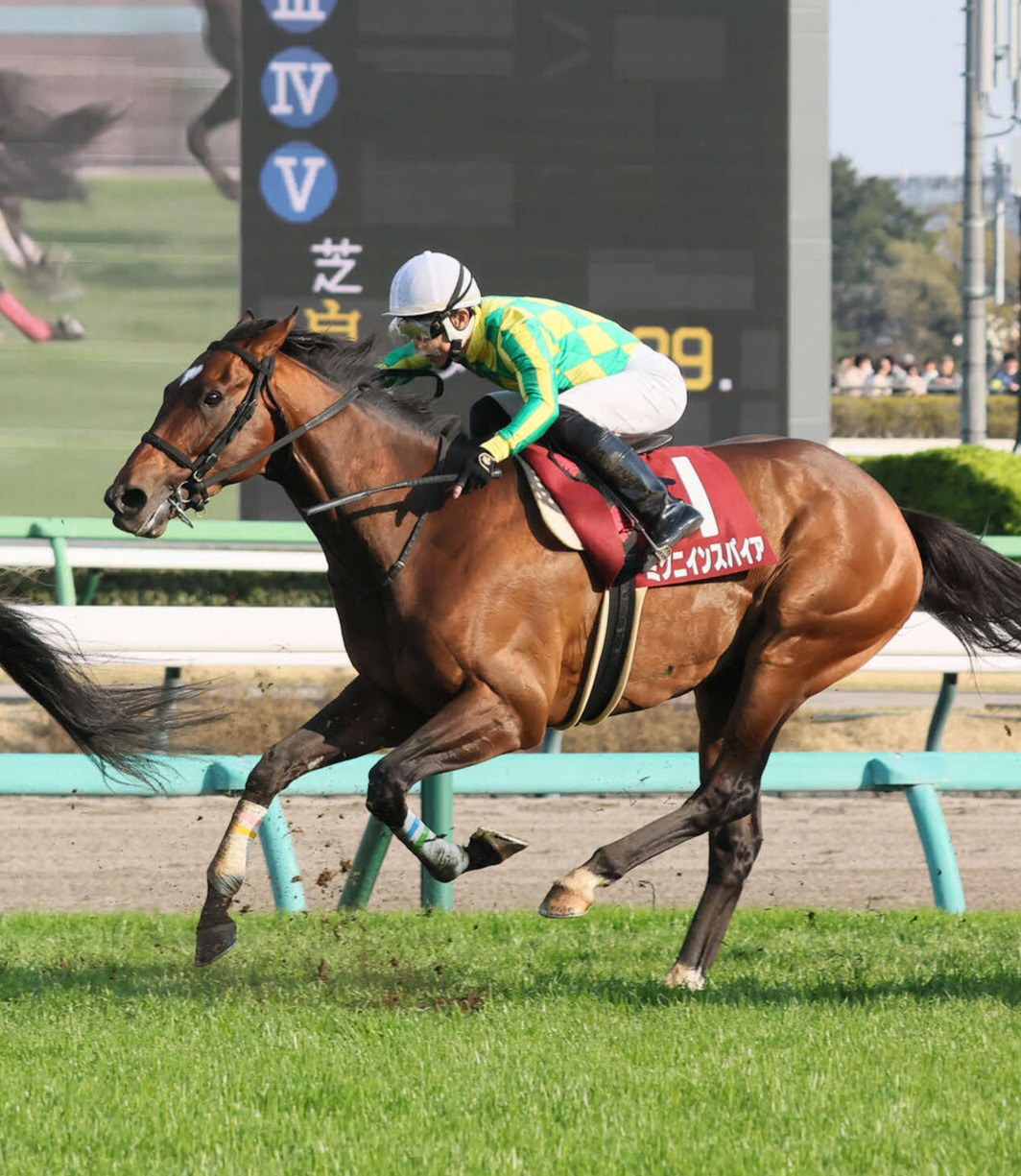 日経賞2着のミクニインスパイア