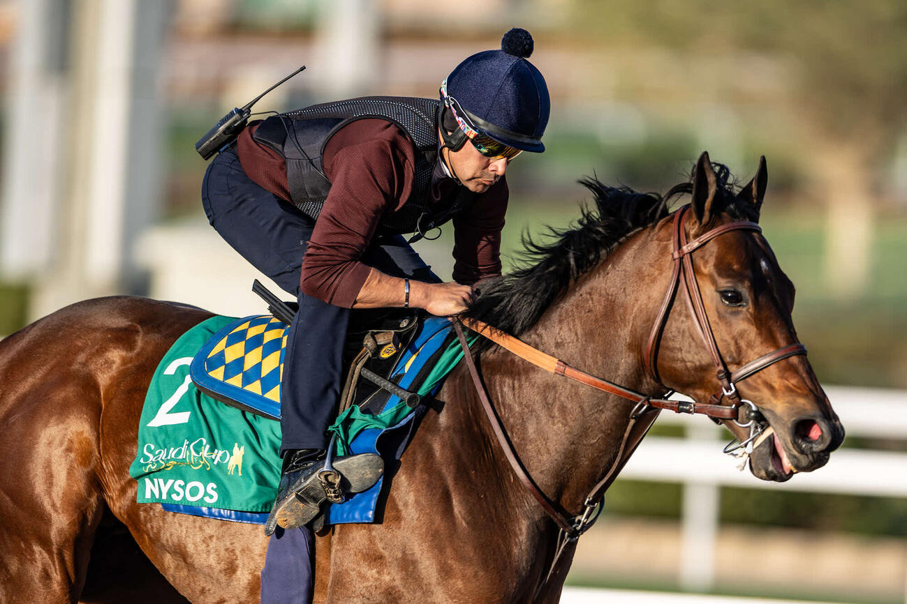 ナイソス（C）Jockey　Club　of　Saudi　Arabia／Neville　Hopwood