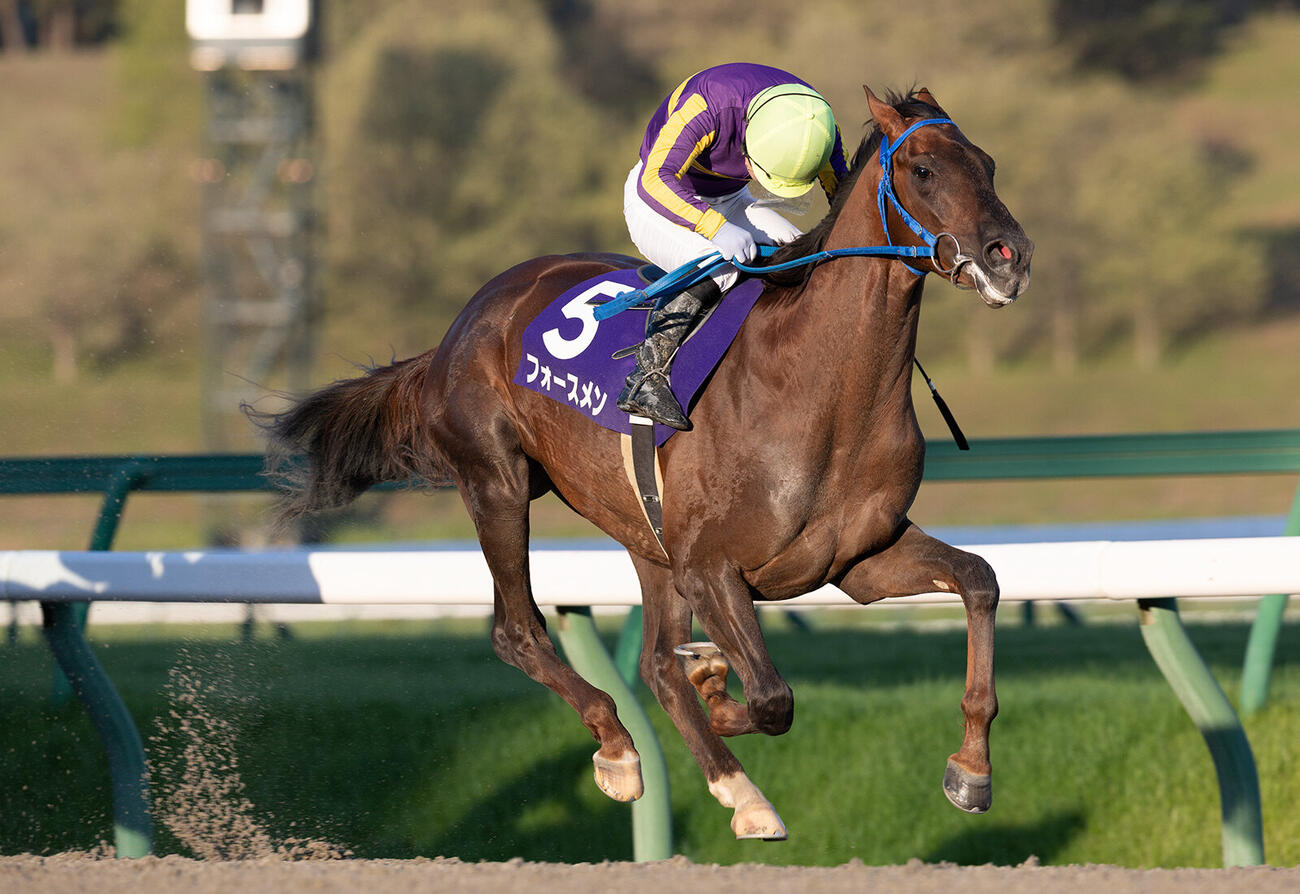 東京ダービー出走のフォースメン（写真提供・岩手県競馬組合）