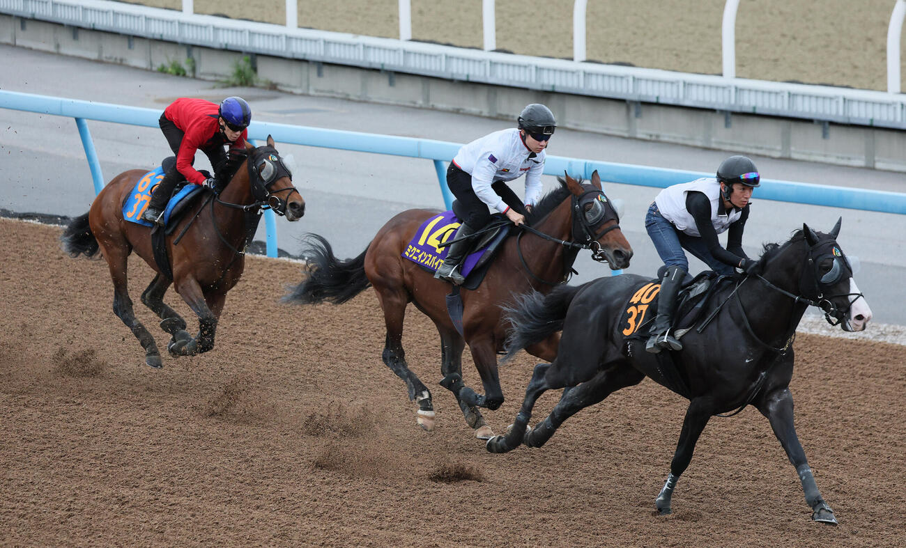 ミクニインスパイア（中央）は美浦ウッドを3頭併せで追い切られた（撮影・丹羽敏通）
