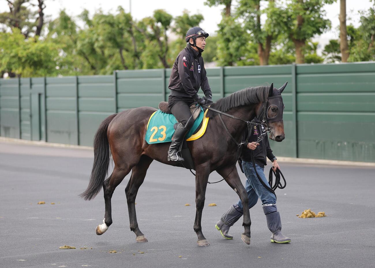函館競馬場で調整するロードレスポンス