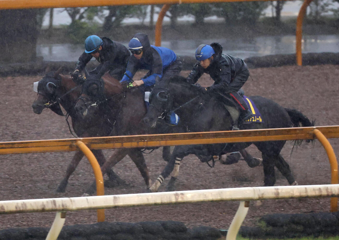 3日、クロワデュノール（右）らと併せ馬を行うメアグローリア（左）