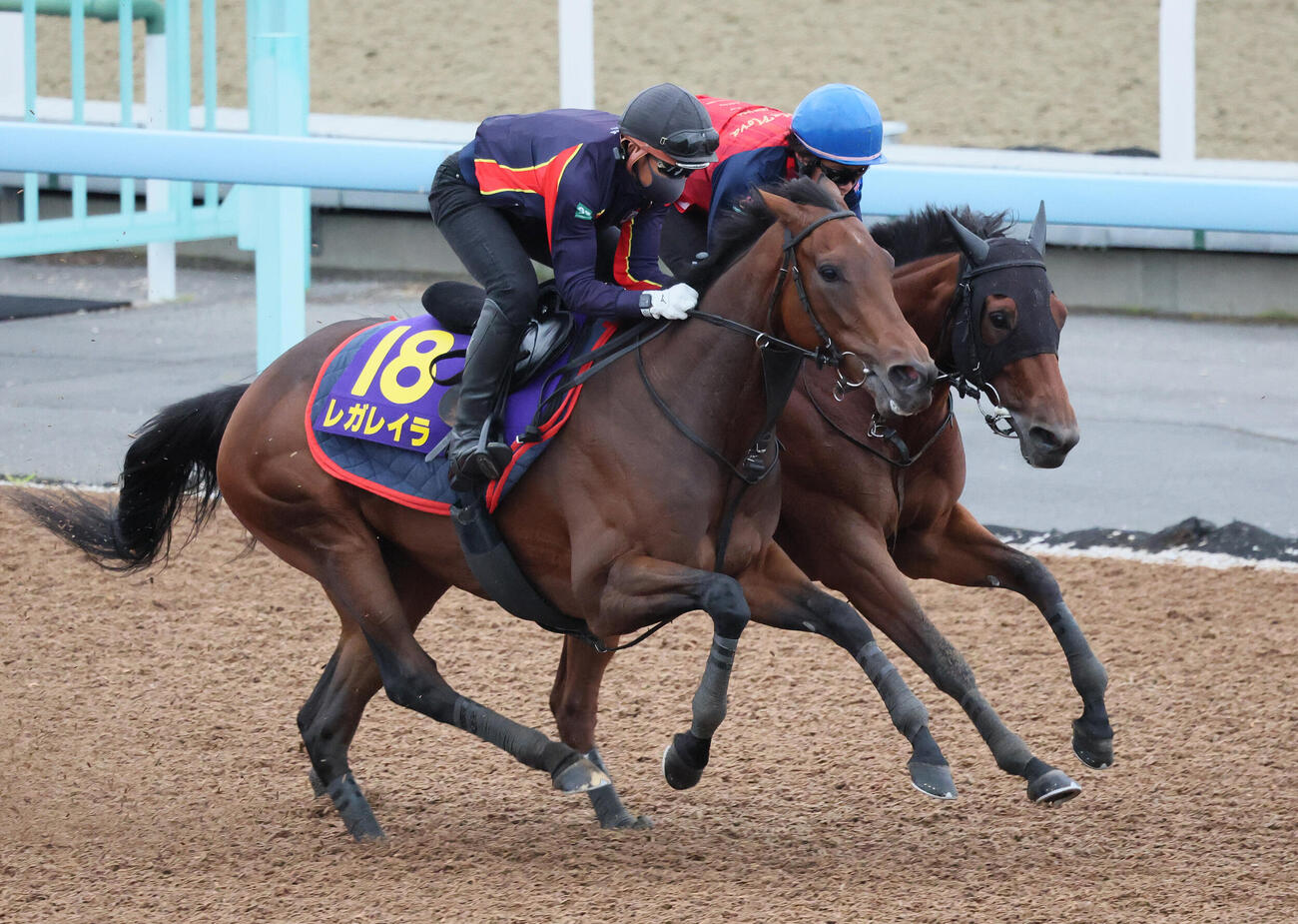 レガレイラ（手前）は美浦ウッドを併せ馬で追い切られた（撮影・丹羽敏通）