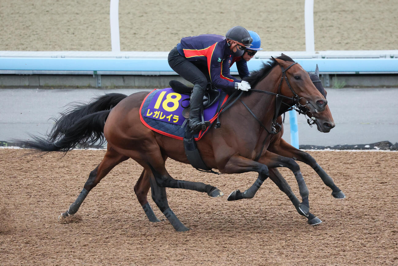レガレイラ（手前）は美浦ウッドを併せ馬で追い切られた（撮影・丹羽敏通）