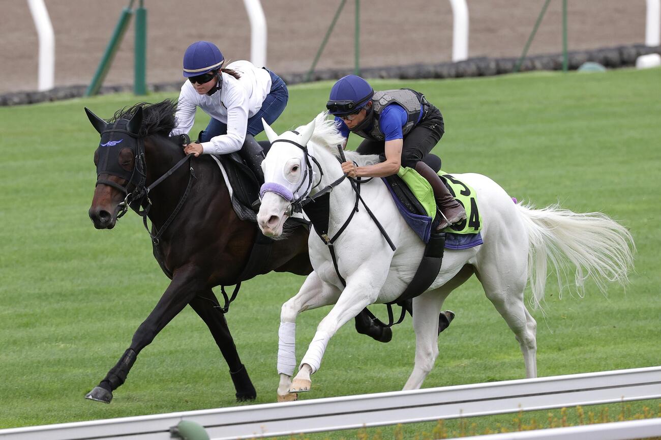 佐々木大輔騎手を背に、函館芝コースで併せ馬で追い切られるスノーウィスパー（右）