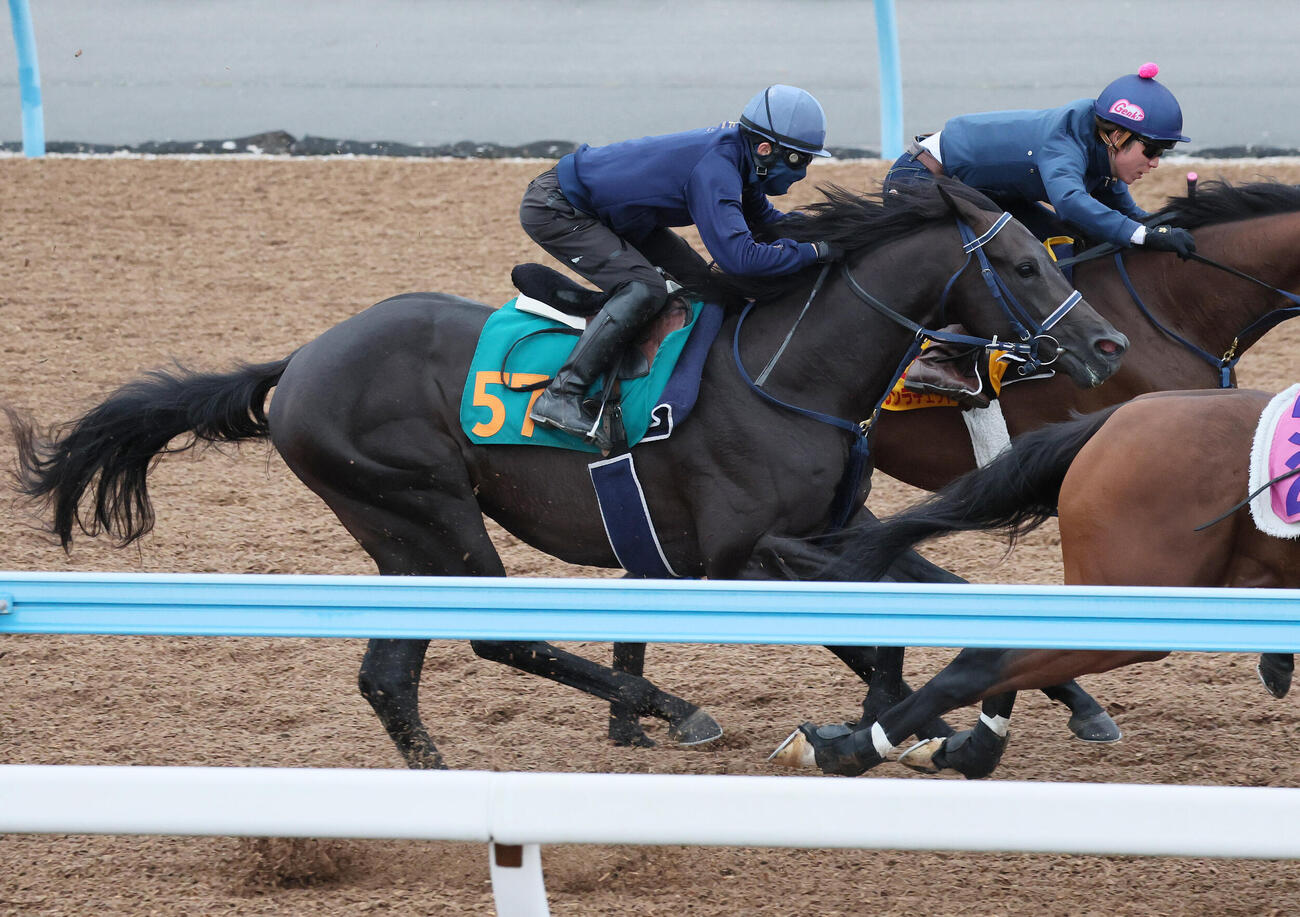 ラガリーガは嶋田純次騎手を背に美浦ウッドでブラウンラチェットなどと併せて追い切られた