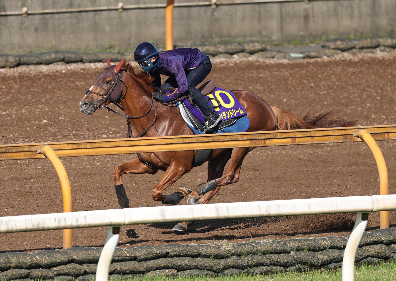 10日、Cウッドコースを単走で追い切るビザンチンドリーム