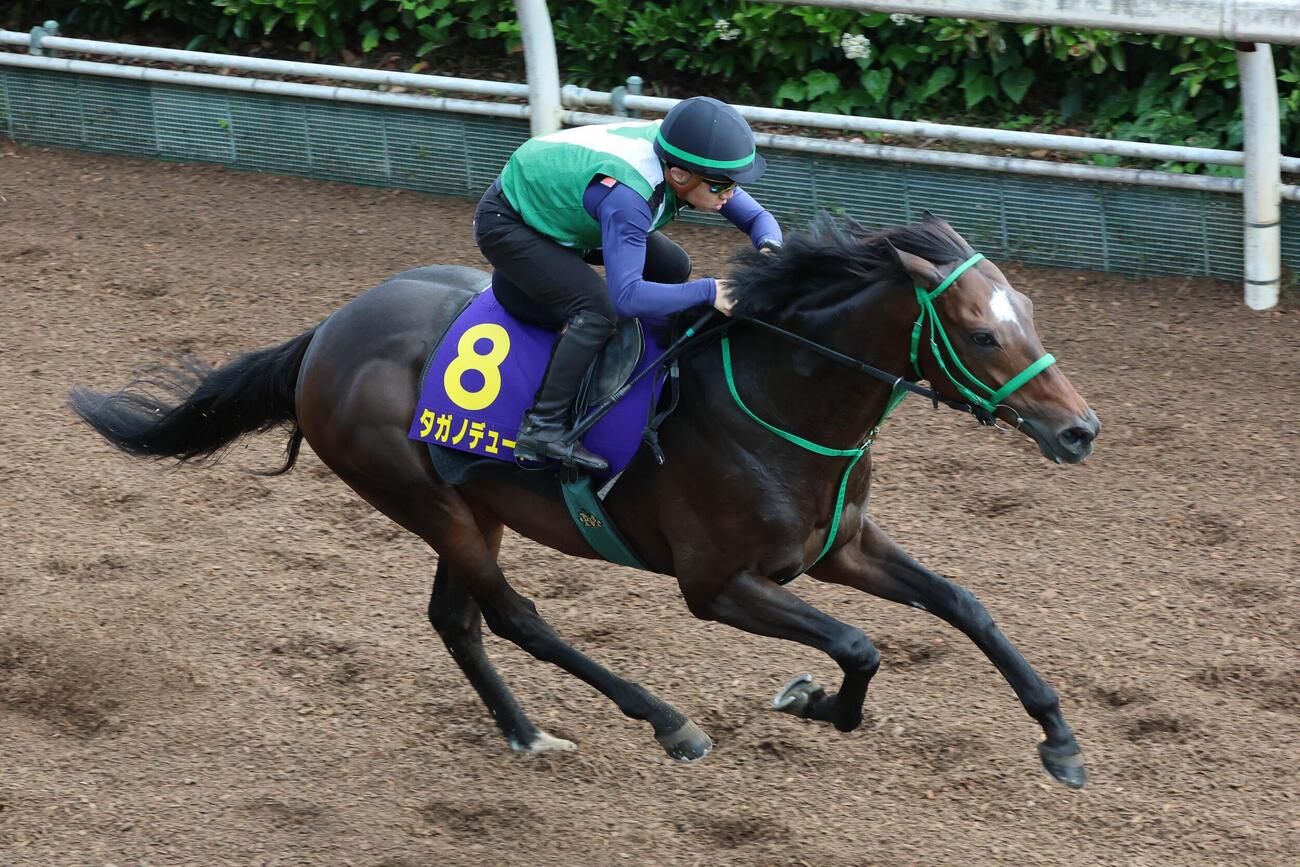 10日、坂路で併せ馬に先着するタガノデュード