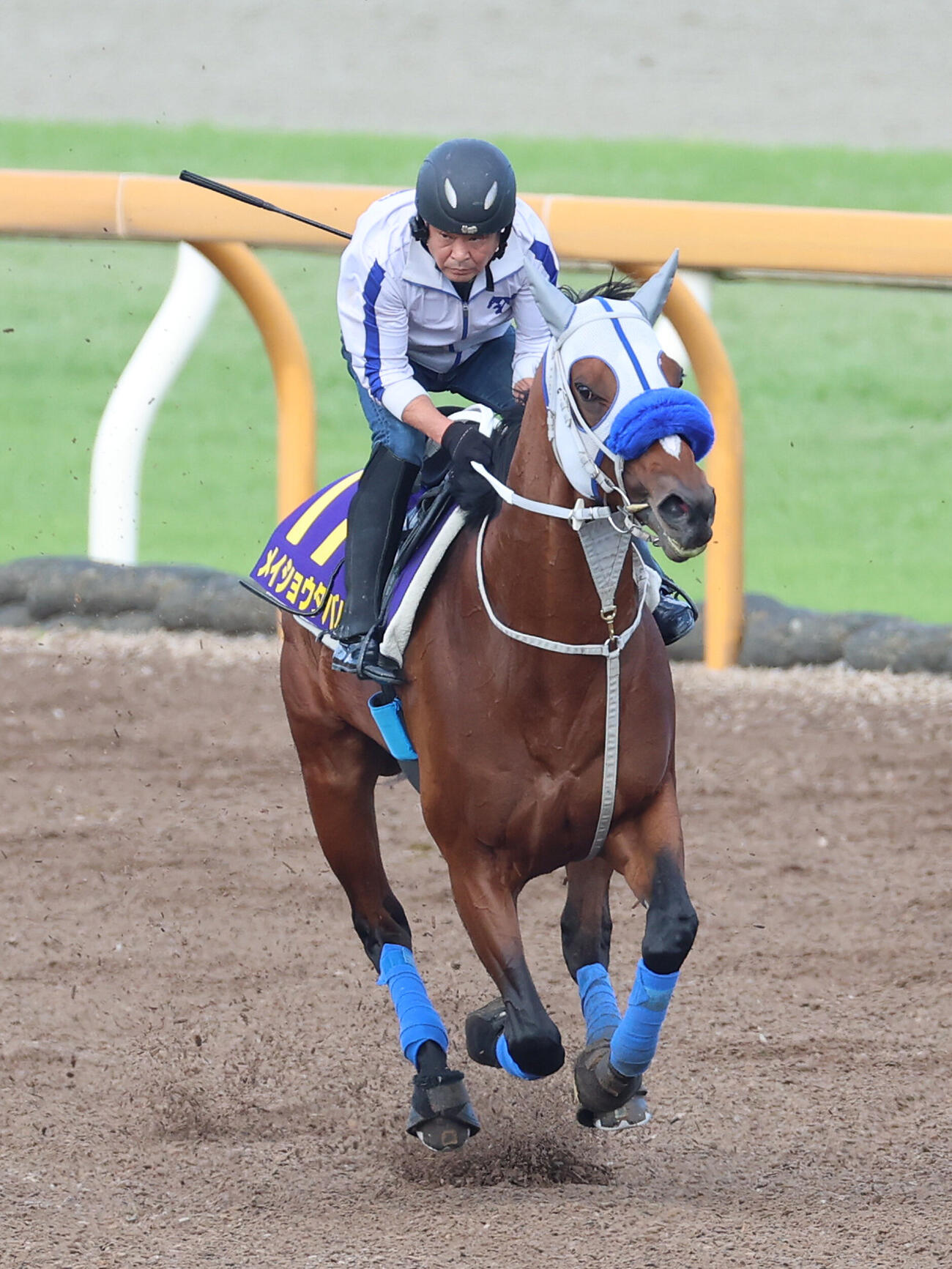 10日、Cウッドを単走で追い切るメイショウタバル