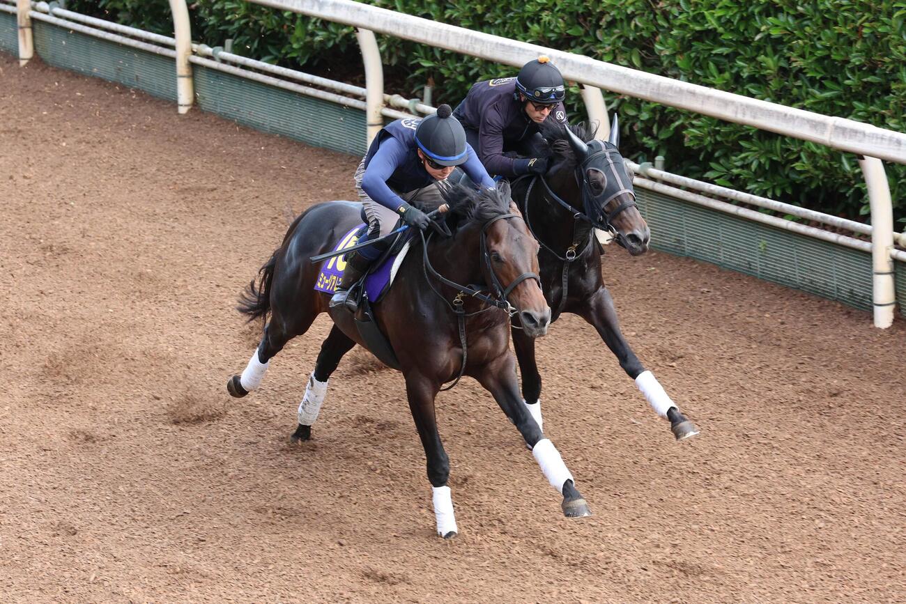 10日、坂路で併せ馬に先着したミュージアムマイル（左）。（右はスピリットライズ）