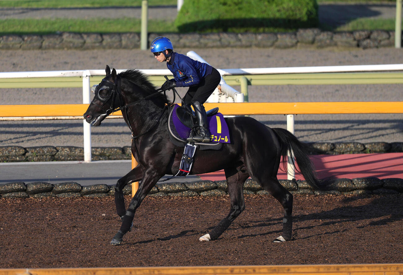 10日、Cウッドコースに馬場入りするクロワデュノール