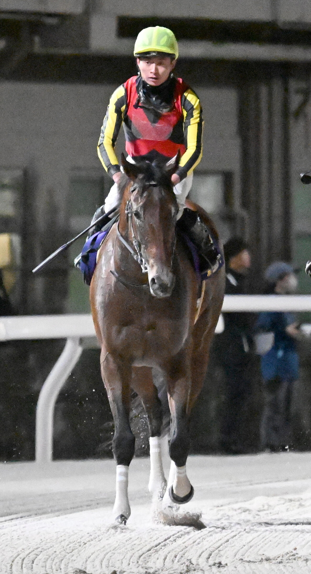 東京ダービーで2着に敗れた岩田望来騎手鞍上のシルバーレシオ（撮影・千葉一成）