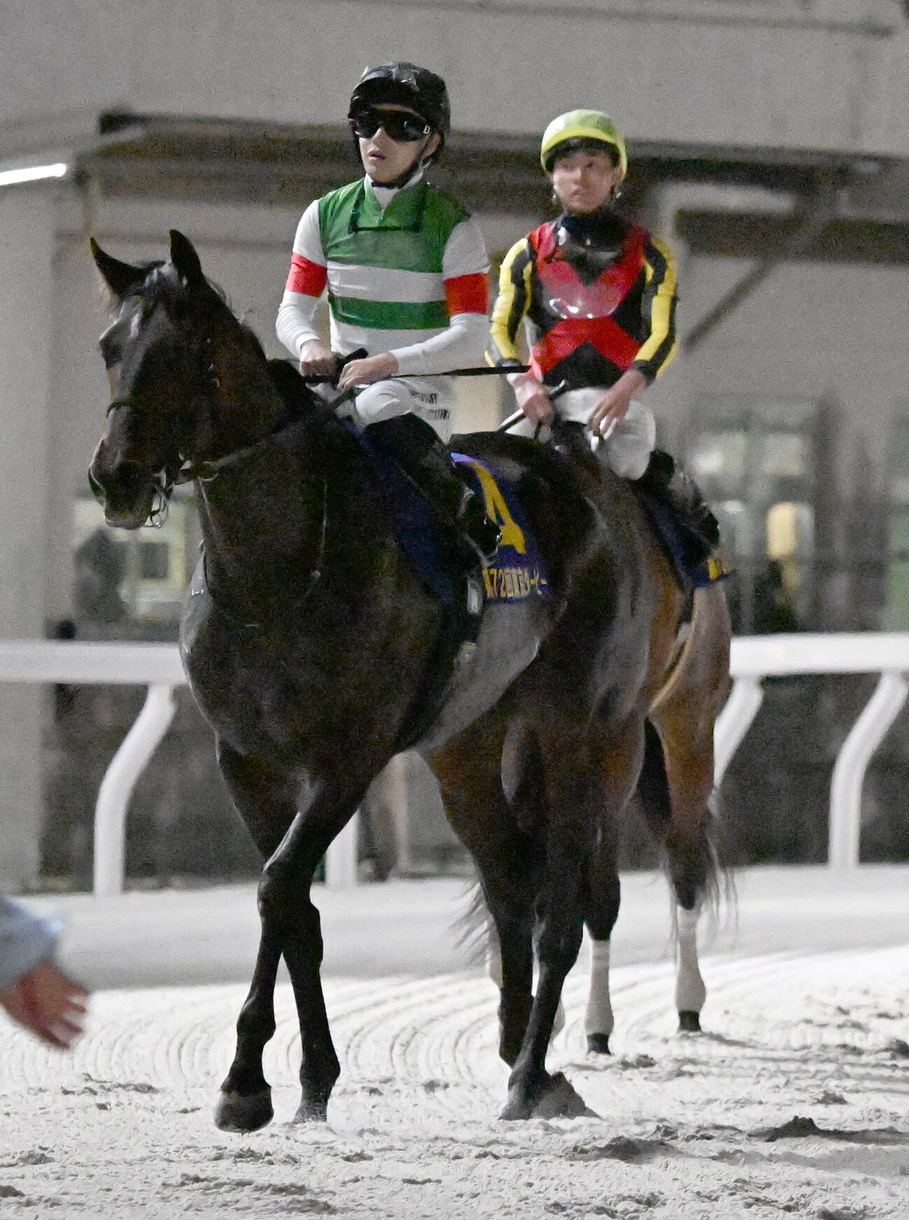 東京ダービーで4着の西村淳也騎手鞍上のロックターミガン（左）と2着に敗れた岩田望来騎手鞍上のシルバーレシオ（撮影・千葉一成）