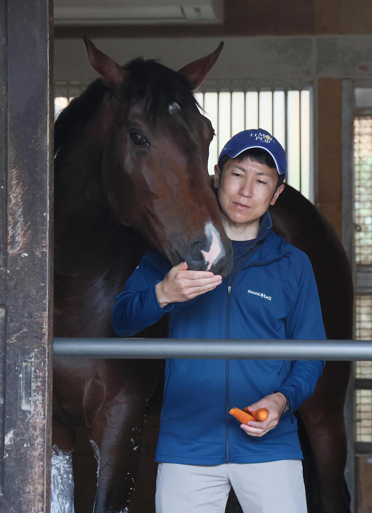 東京ダービー制覇から一夜明けて、田中博康調教師に甘えるフィンガー（撮影・丹羽敏通）