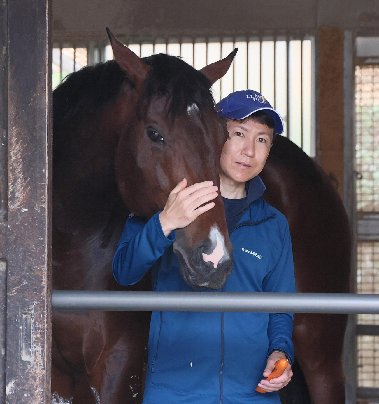 東京ダービー制覇から一夜明けて、田中博康調教師に甘えるフィンガー（撮影・丹羽敏通）