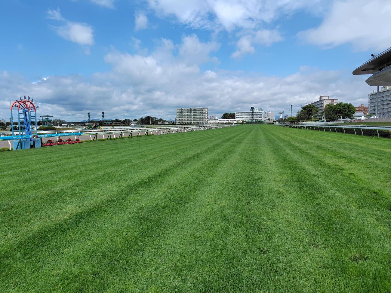 函館競馬場の芝コースは絶好の状態（ゴールから4角方面）