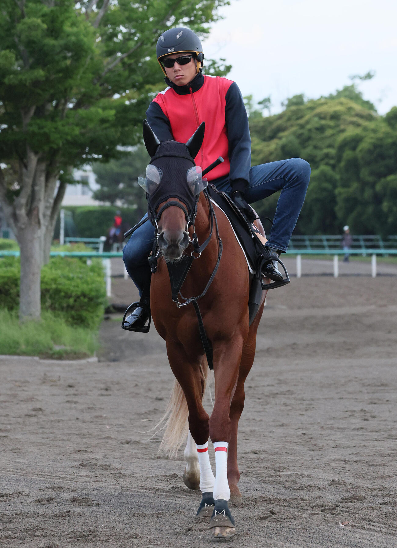 馬場へ向かうエコロアルバ（撮影・丹羽敏通）