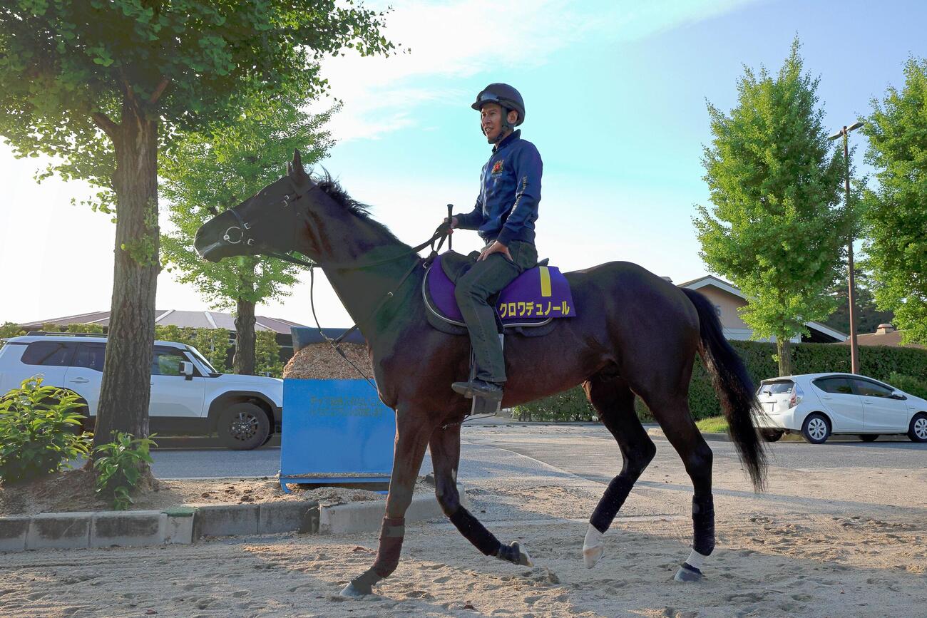 乗り運動で調整されたクロワデュノール
