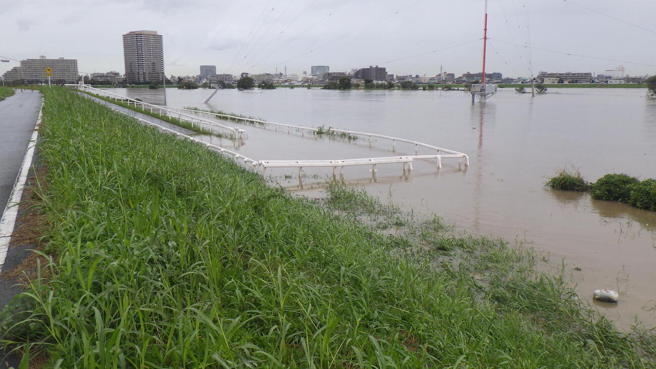 17年大雨の影響で水没した川崎競馬の小向練習場（川崎競馬提供）