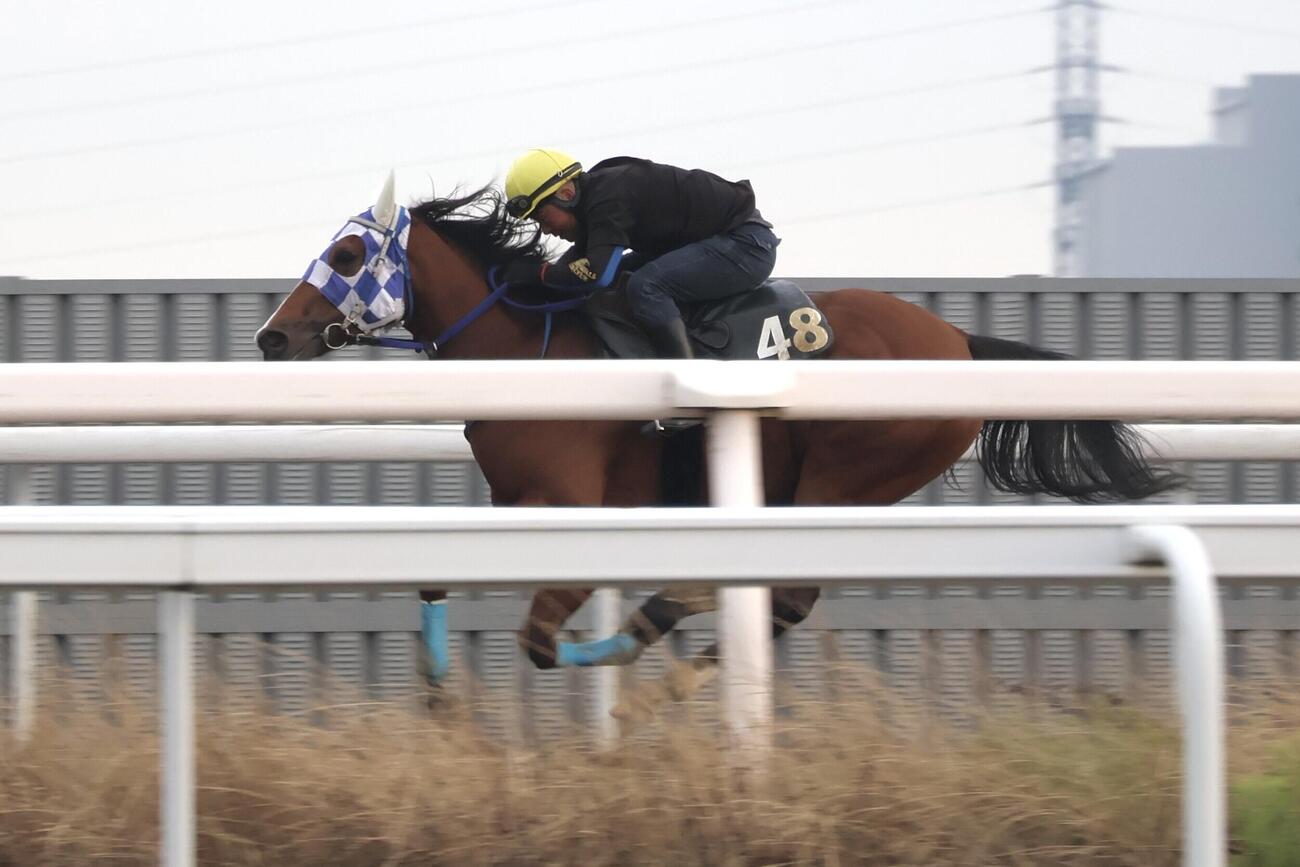 関東オークスに向けて最終追い切りを行うアンジュルナ