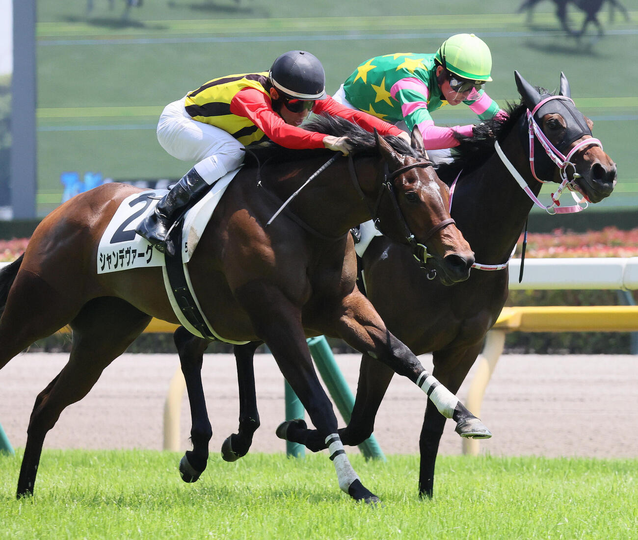 東京5R、2歳新馬戦を制したシャンデヴァーグと津村明秀騎手（左）（撮影・丹羽敏通）