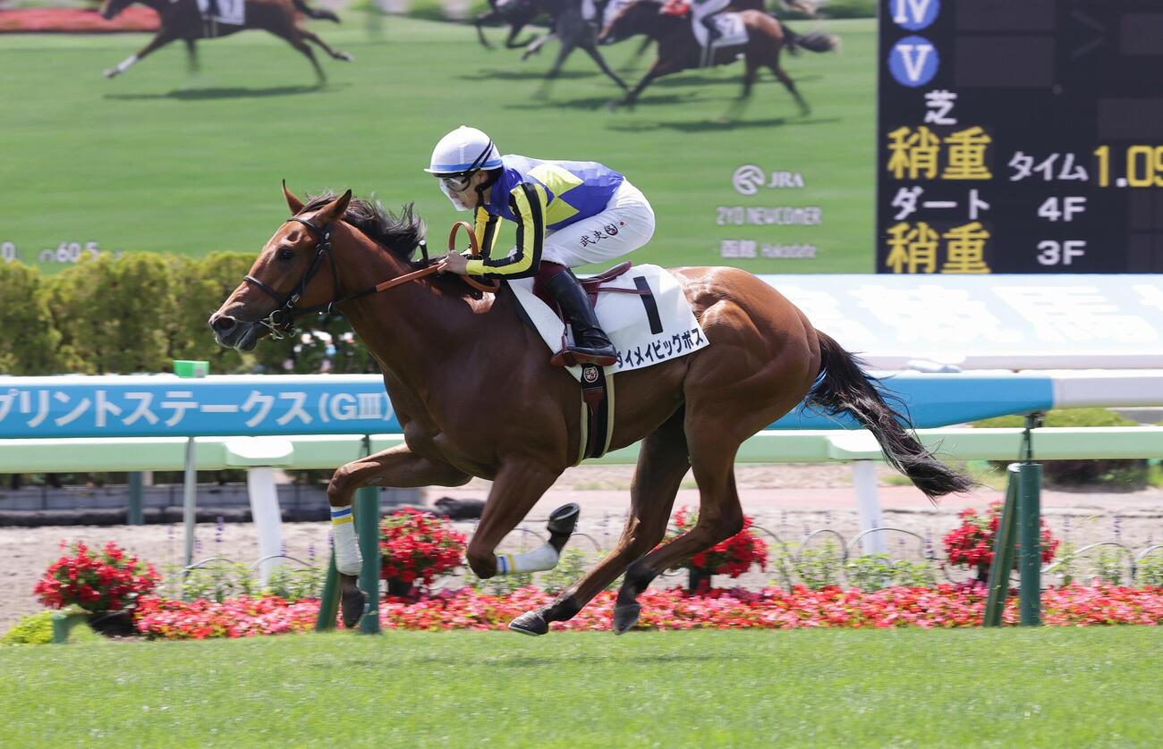函館最初の新馬戦を勝利したダイメイビッグボス