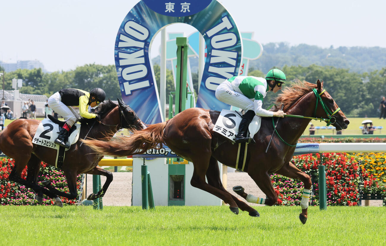 東京6R、2歳新馬戦を制したデミアンとダミアン・レーン騎手（撮影・丹羽敏通）