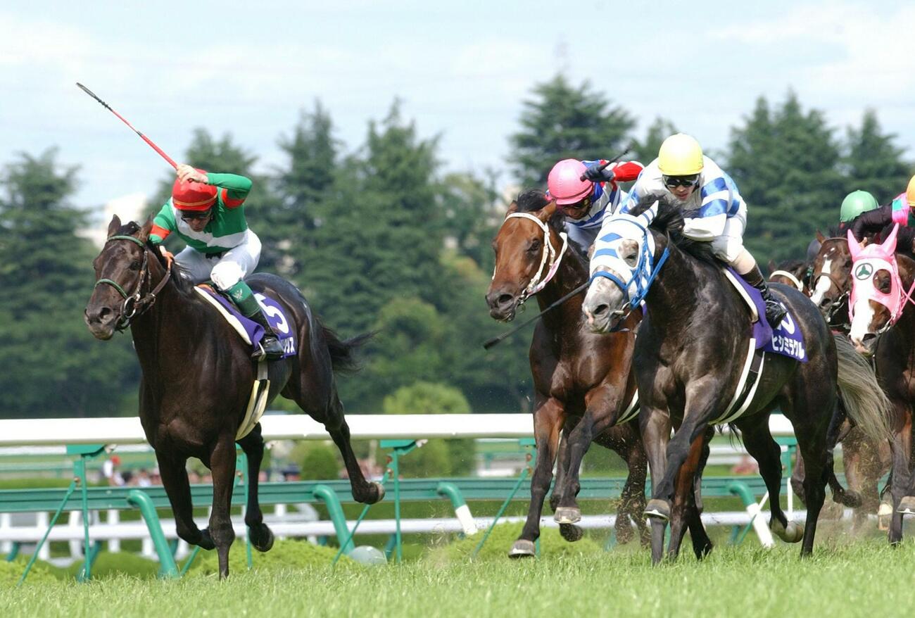03年宝塚記念を制したヒシミラクル