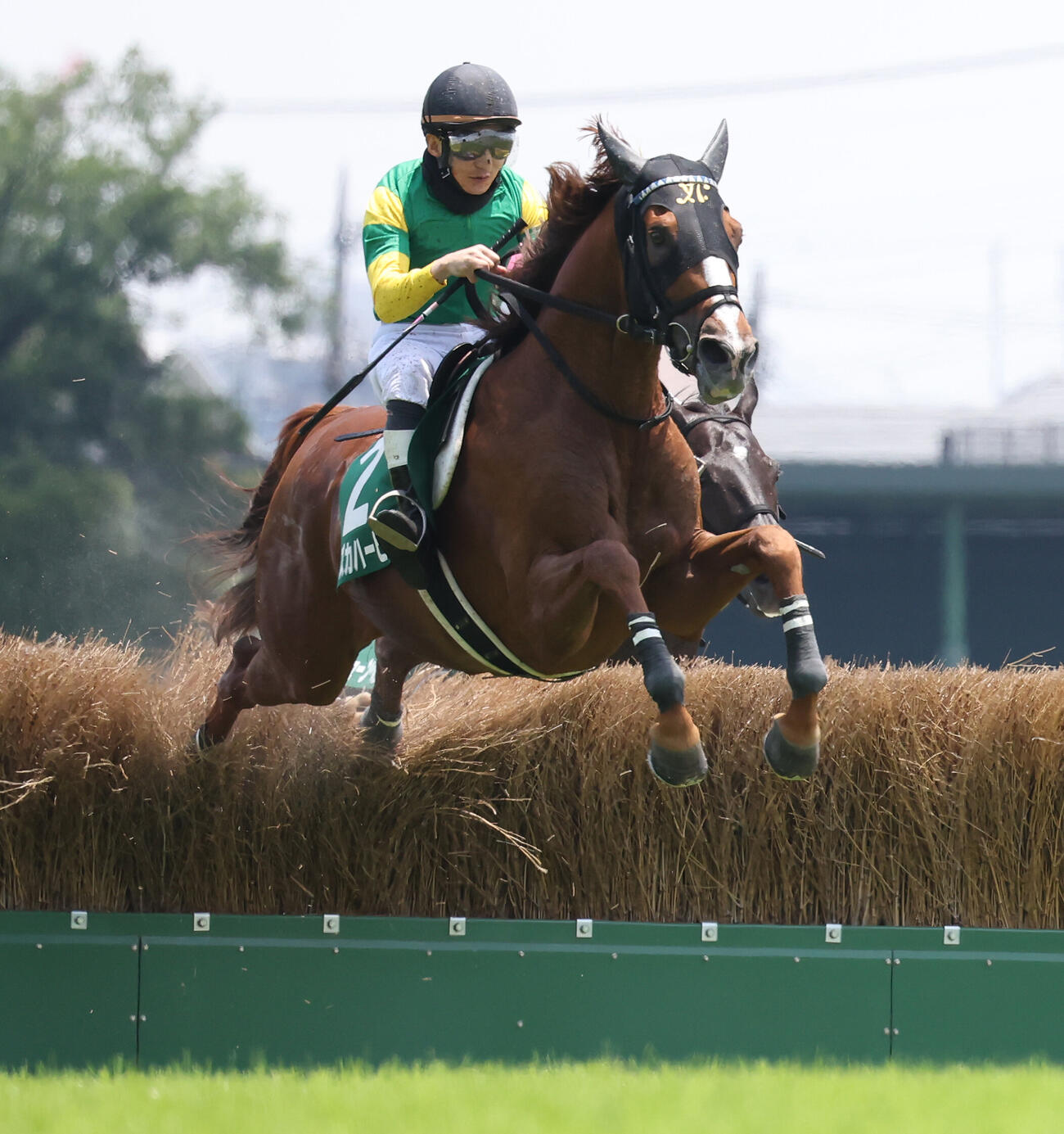 東京JSを制したスズカハービンと難波剛健騎手（撮影・丹羽敏通）