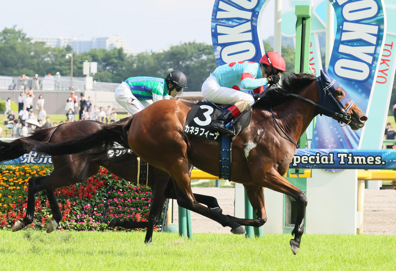 ジューンSを制したカネラフィーナとC・ルメール騎手（撮影・丹羽敏通）