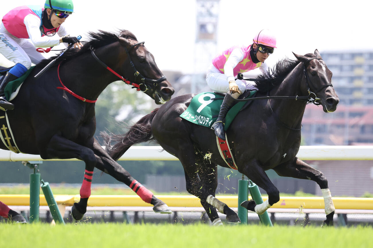 東京JSで2着に敗れたジューンベロシティと高田潤騎手（撮影・丹羽敏通）