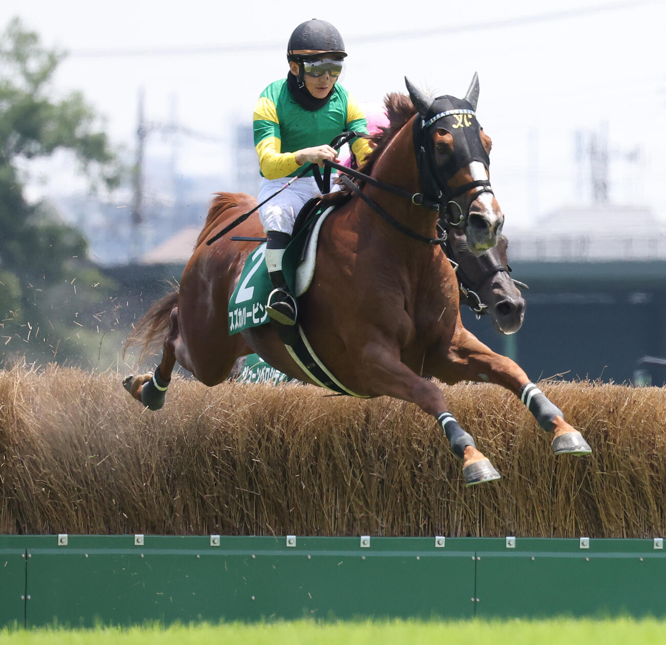 東京4R、東京JSを制したスズカハービンと難波剛健騎手（撮影・丹羽敏通）