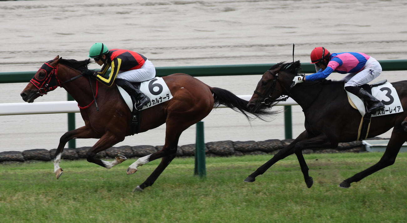 阪神5R、2歳新馬はインカルナータ（左）が直線で伸び、デビュー勝ちを収めた（撮影・西尾就之）