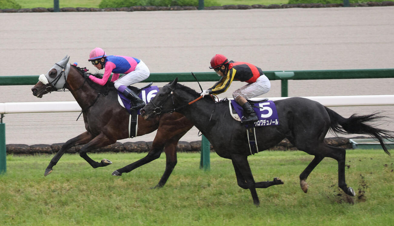 宝塚記念2着に敗れたクロワデュノール（右）左は勝ったメイショウタバル（撮影・西尾就之）