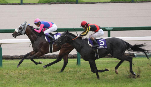 クロワデュノール 新馬戦から宝塚記念までの馬券 値下げ交渉可能 宝塚記念】クロワデュノールは2着、史上初の春古馬3冠ならず - 競馬