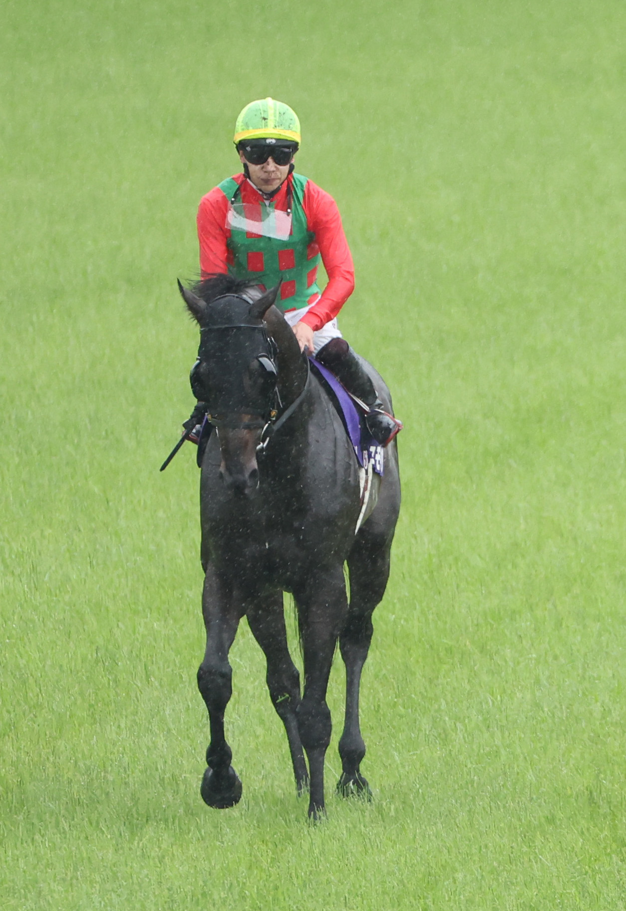 宝塚記念4着に入ったコスモキュランダと横山武史騎手（撮影・西尾就之）