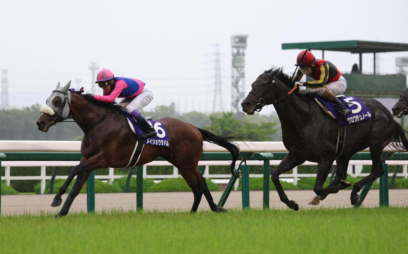 直線抜け出してゲリラ豪雨の中の宝塚記念を連覇したメイショウタバル（左）（撮影・白石智彦）