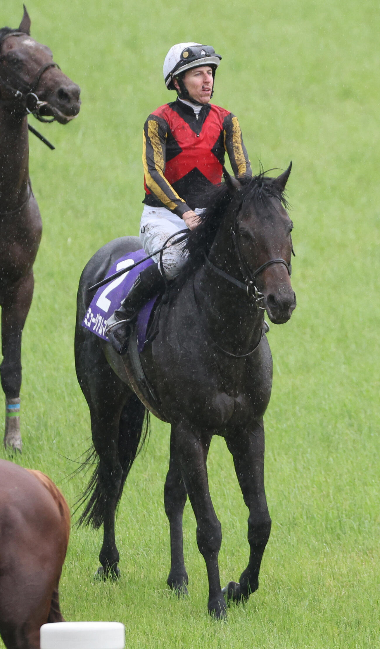 阪神11R　　宝塚記念で9着となったダミアン・レーン騎手のミュージアムマイル（撮影・西尾就之）