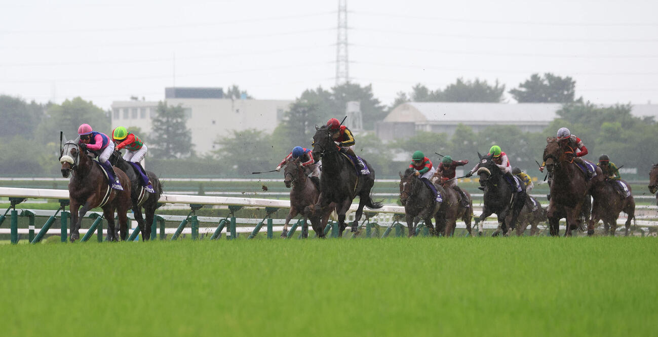 メイショウタバルが制した宝塚記念（撮影・白石智彦）